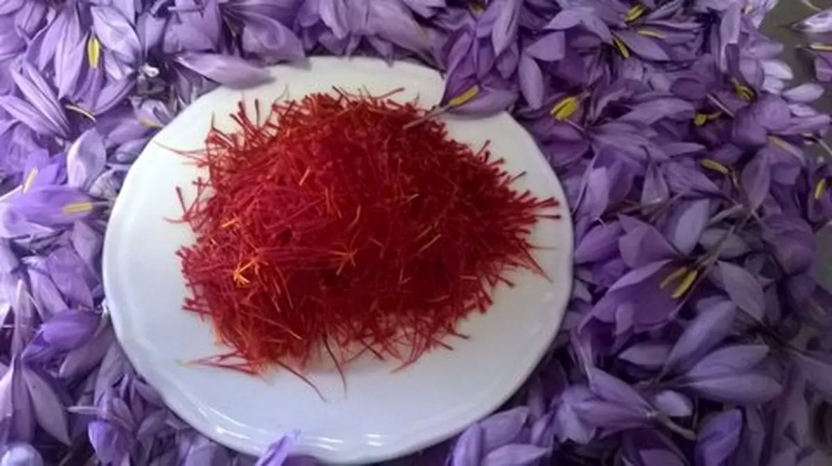 صادرات ۱۷۰ میلیون دلار زعفران از استان خراسان رضوی / در حوزه زعفران باید برند سازی صورت بگیرد