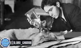 از مرگ بازگشته!