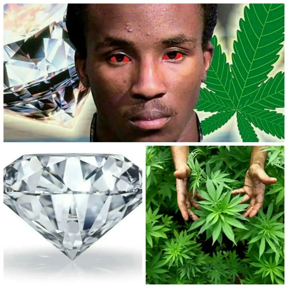 ماری جوانا ۱۶۰ هزار دلاری