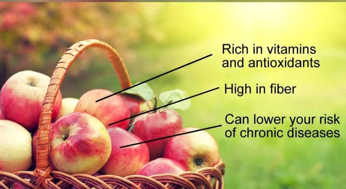 میخواهید هیچوقت نیازمند دکتر نشوید؟ هر روز 1سیب بخورید!