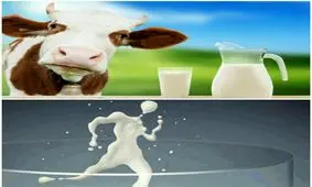 سم زدایی بدن با شیر