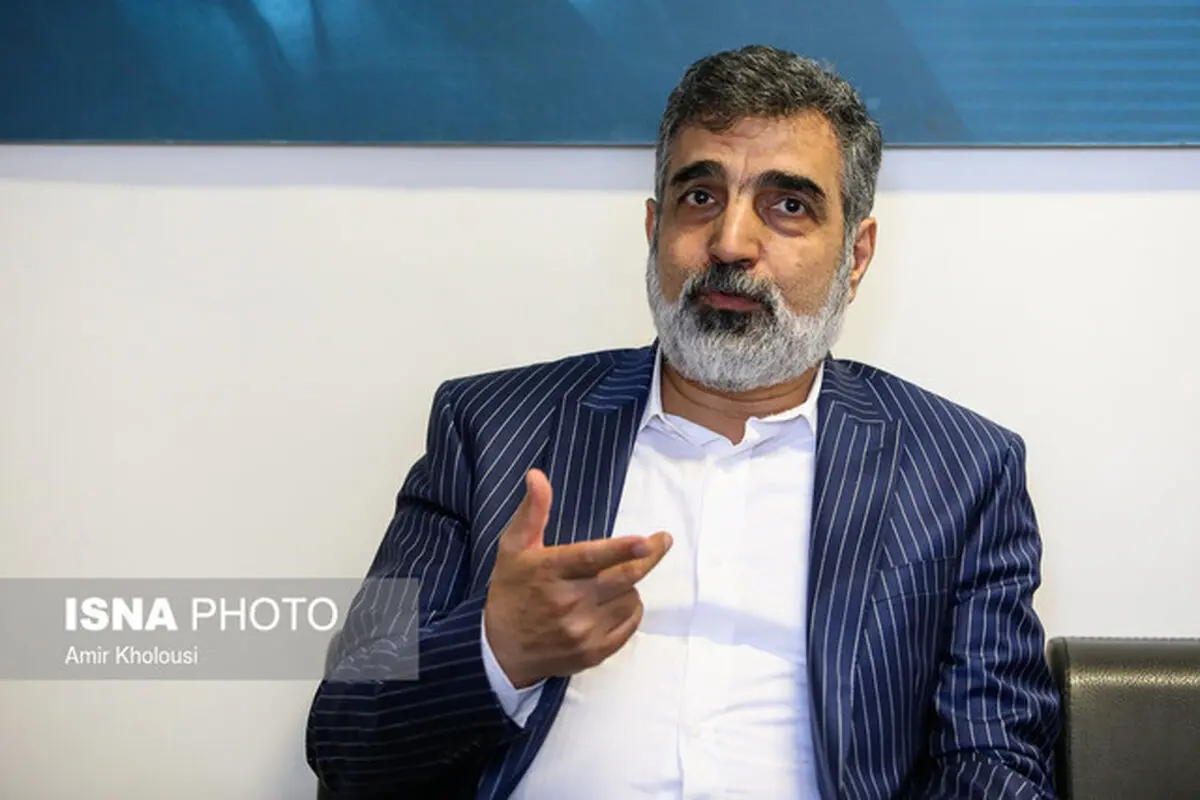 کمالوندی: فناوری هسته‌ای می‌تواند اساسی برای همکاری باشد