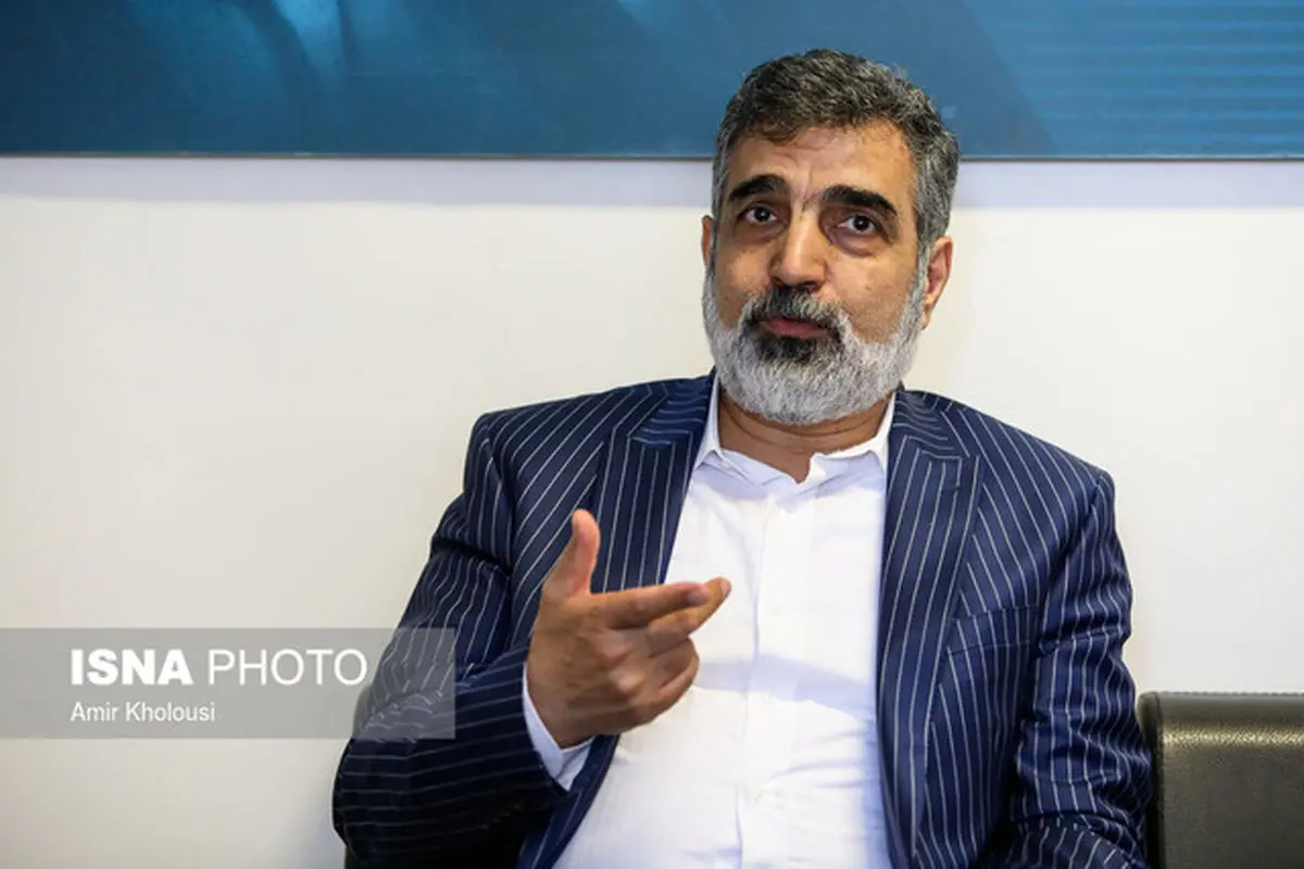 کمالوندی: فناوری هسته‌ای می‌تواند اساسی برای همکاری باشد
