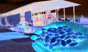 ماجرای پسته خندانی که اشک خیلی ها را درآورده!