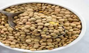 دیابت نوع 2 را با عدس درمان کنید