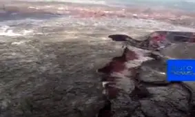 فوران آتشفشانی در هاوایی