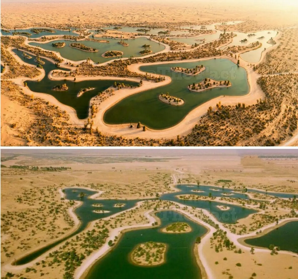 دریاچه مصنوعی دبی