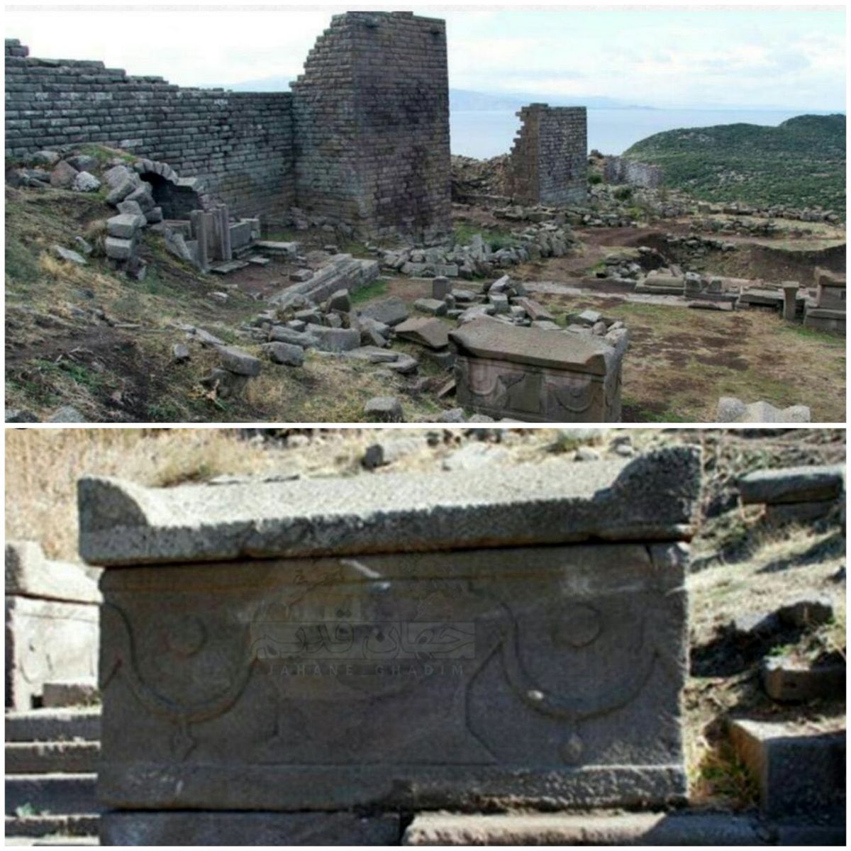 سنگ گوشتخوار