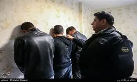 ۴۵ باند سارق در استان بوشهر متلاشی شد