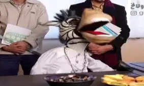 تشنگان قدرت باولاخ و دولاخ