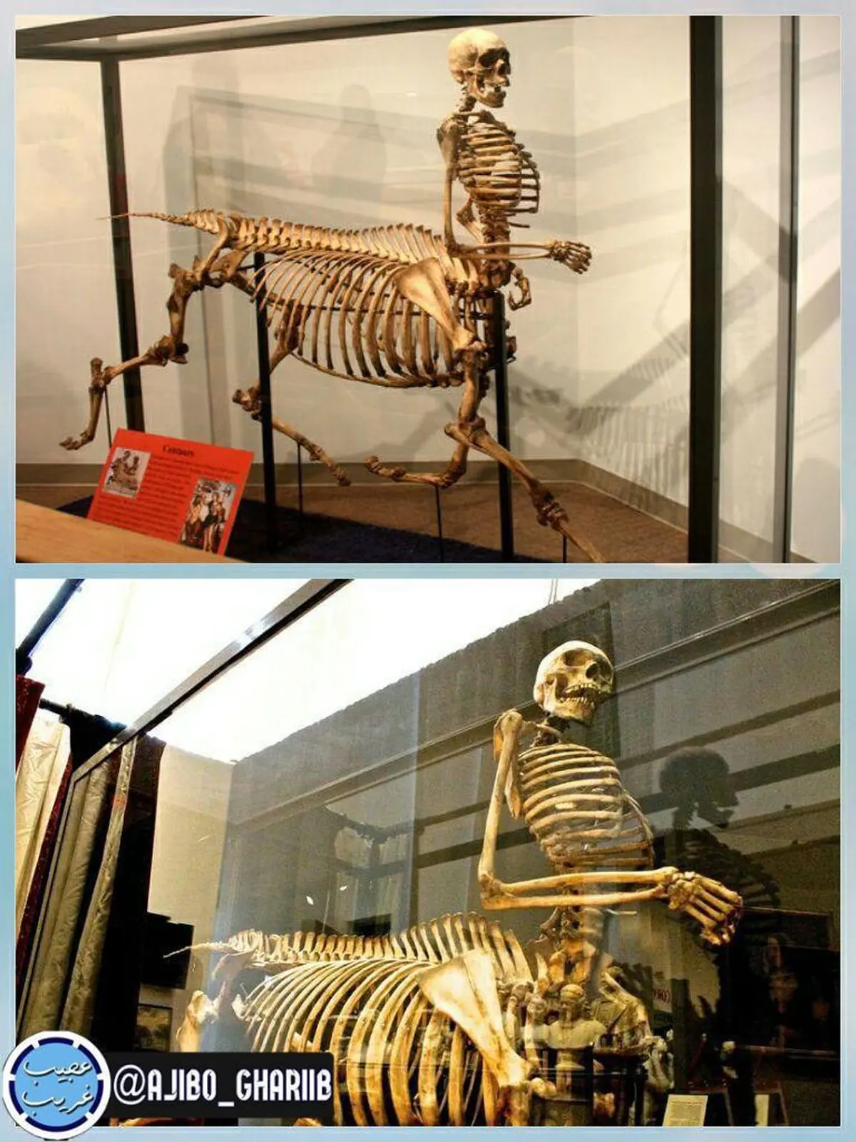 اسکلت عجیب و غریب در اسکاتلند