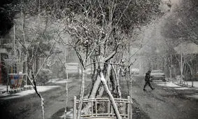 لغو پروازهای فرودگاه مشهد