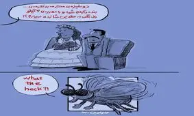 مهریه های عجیب و غریب