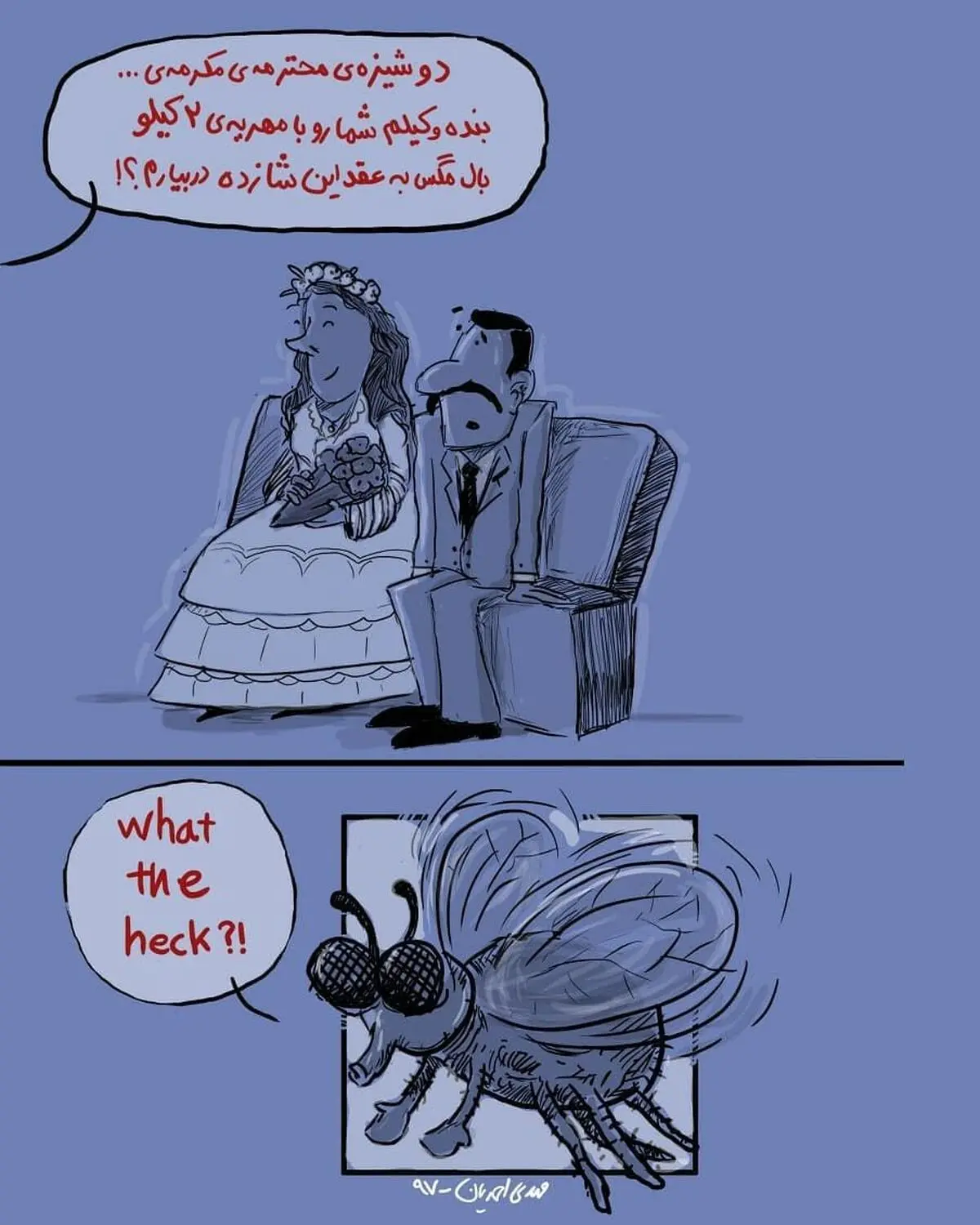مهریه های عجیب و غریب