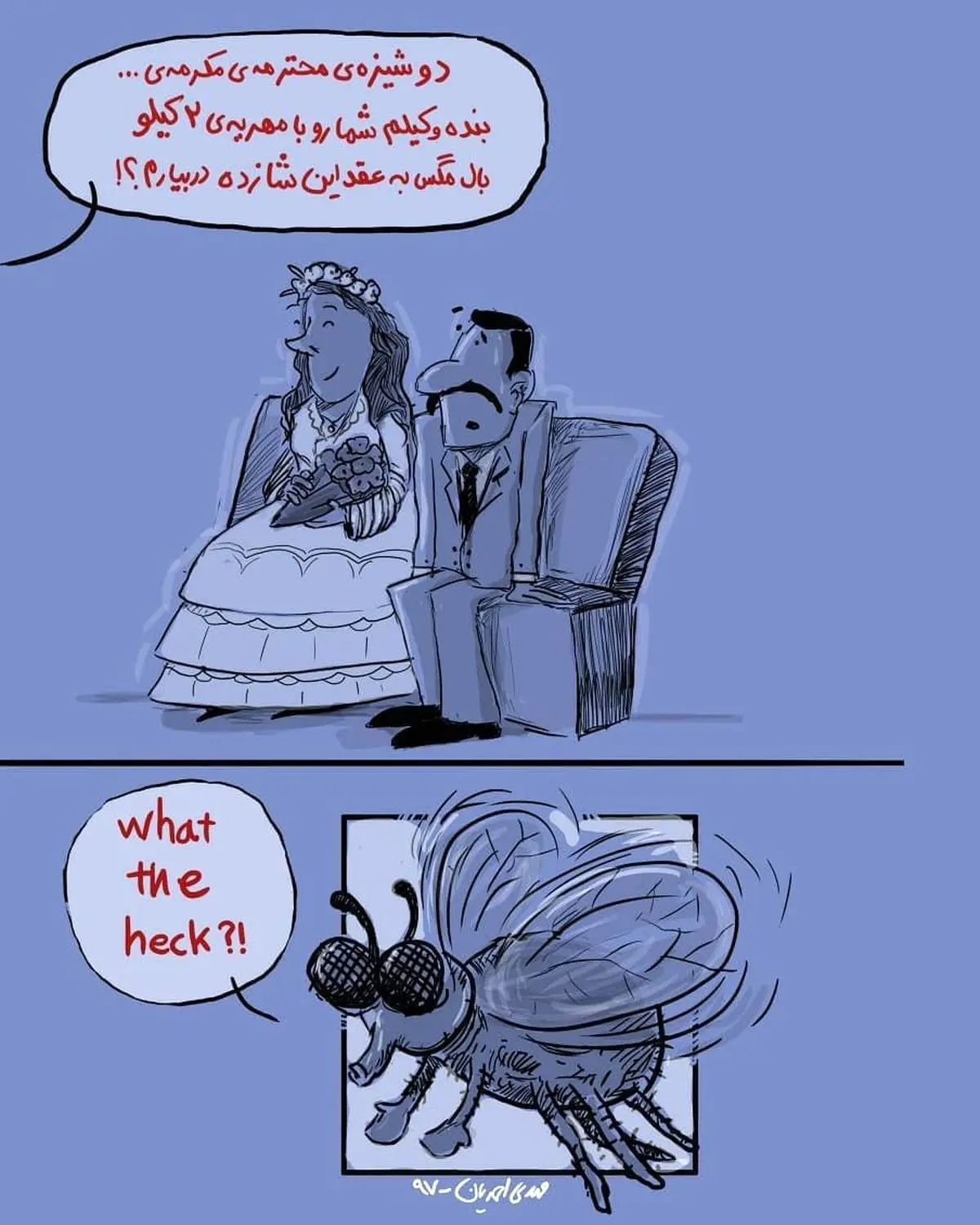 مهریه های عجیب و غریب