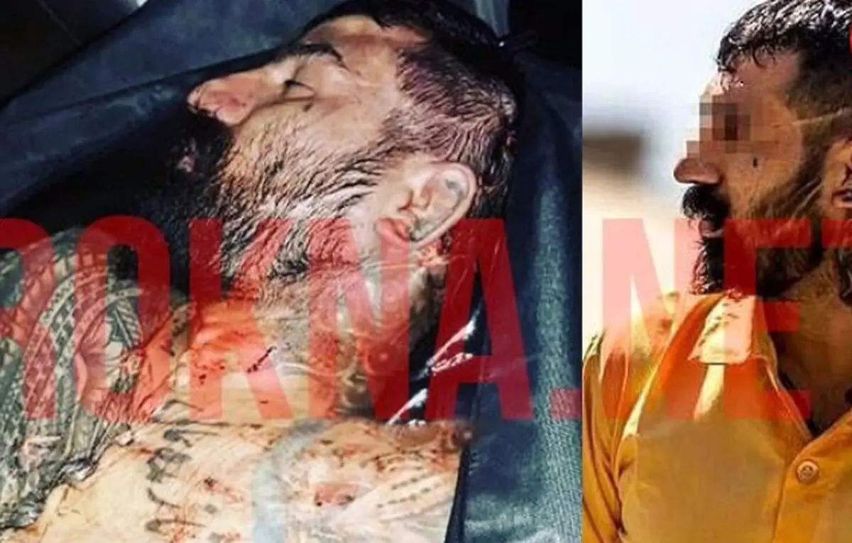 وحید مرادی بعد از قتل در زندان بخشیده شد !+ فیلم