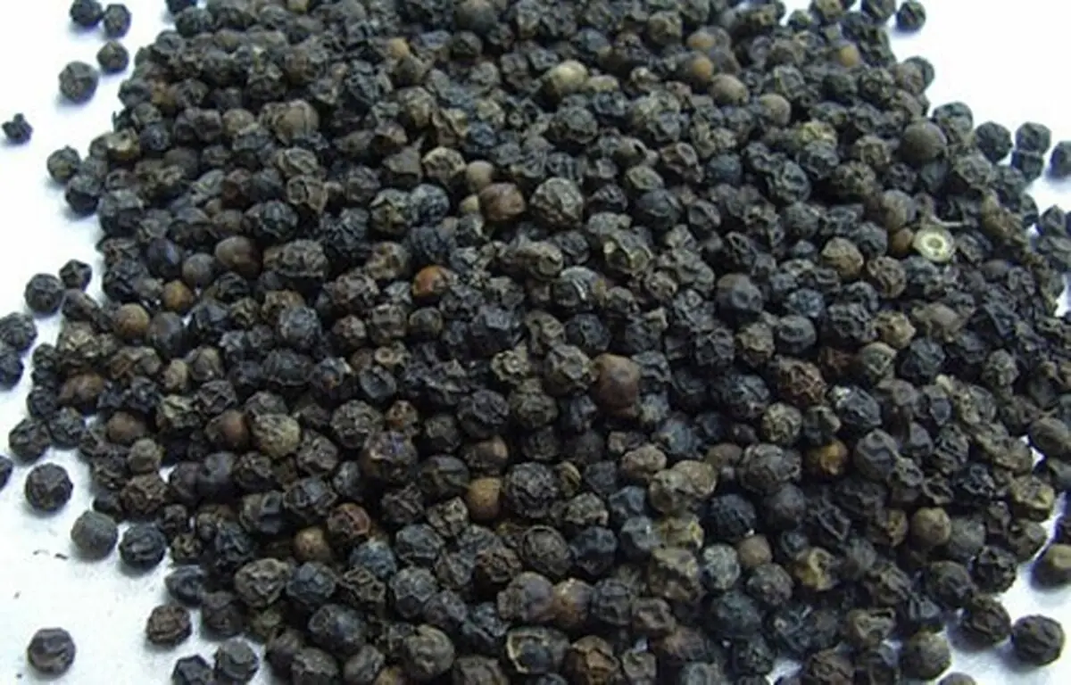 خواص نخود سیاه