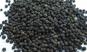 خواص نخود سیاه