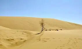 وجود ۲۰ درصد بیابان‌های کشور در استان کرمان