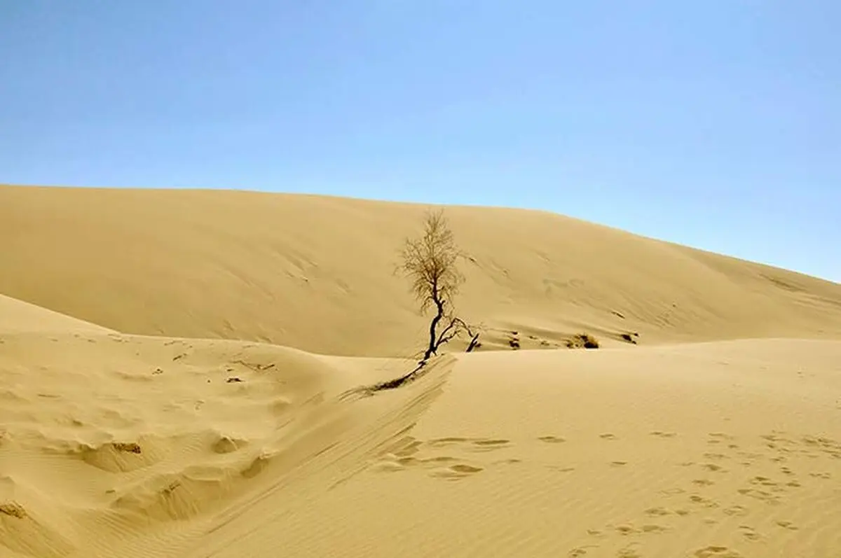 وجود ۲۰ درصد بیابان‌های کشور در استان کرمان