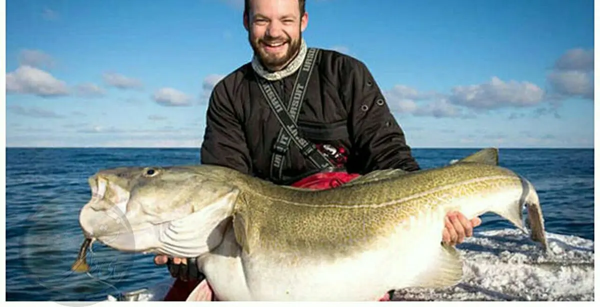 ماهیگیران انگلیسی با بزرگترین ماهی های تاریخ