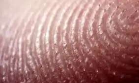 انگشت انسان هنگام عرق کردن در زیر میکروسکوپ!