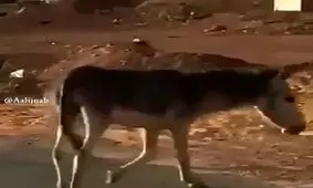 وقتی آزاد هستید اما ذهنتان درگیر است