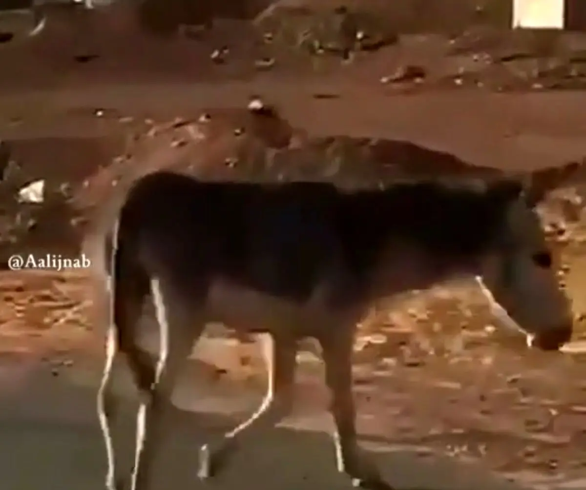 وقتی آزاد هستید اما ذهنتان درگیر است