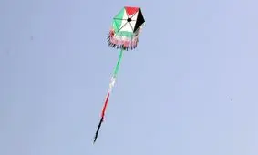 لحظه وحشت عجیب یک زن از بادبادک!+فیلم