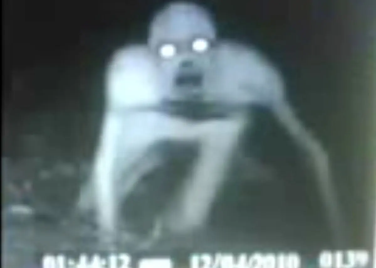 تصویر موجودی عجیب بنام جن