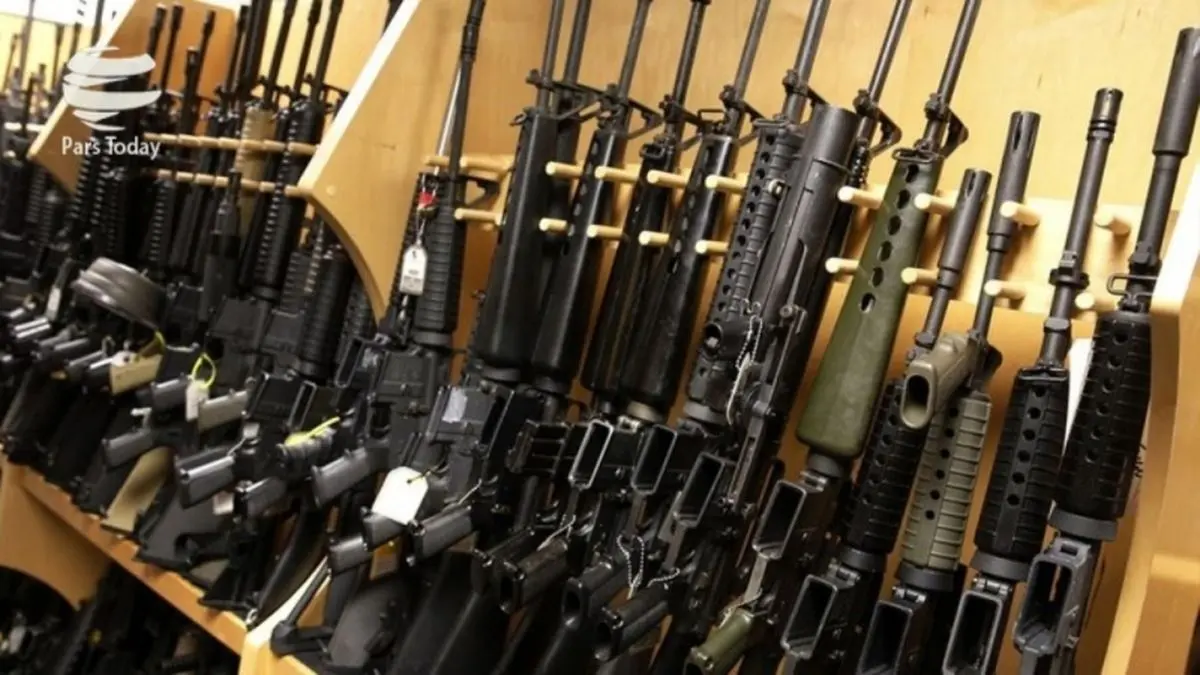 هلند صادرات سلاح به عربستان، امارات و مصر را متوقف کرد