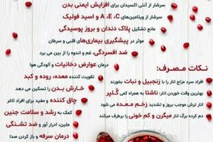 ۲۳ خاصیت انار که از آن غافل هستید