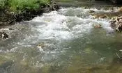 پرونده آلودگی کارخانه قند یاسوج روی میز قاضی/فیلم