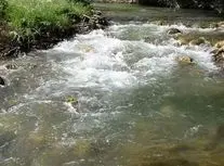 پرونده آلودگی کارخانه قند یاسوج روی میز قاضی/فیلم