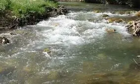 پرونده آلودگی کارخانه قند یاسوج روی میز قاضی/فیلم