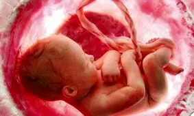 فرزندآوری برای زوجین نابارور چقدر آب می‌خورد؟