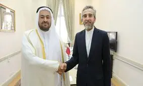 هر کشوری با مشی سیاسی غربی‌ها زاویه پیدا کند، متهم می شود

