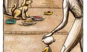 واردات غذای سگ و گربه از کشورهای مختلف