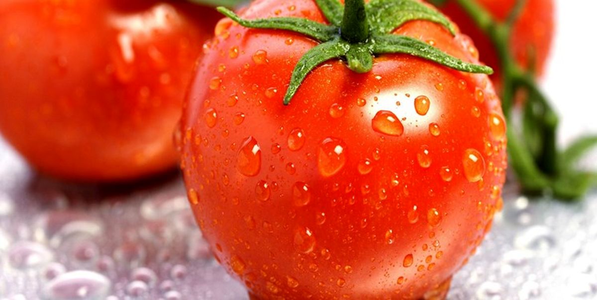 بیماریهای که گوجهفرنگی با آنها مبارزه میکند