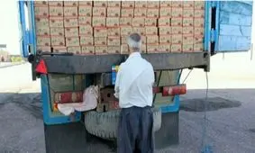 جاسازی تریاک در بار خرما