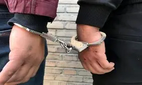 دستگیری دو تن از اراذل و اوباش منطقه تهرانسر
