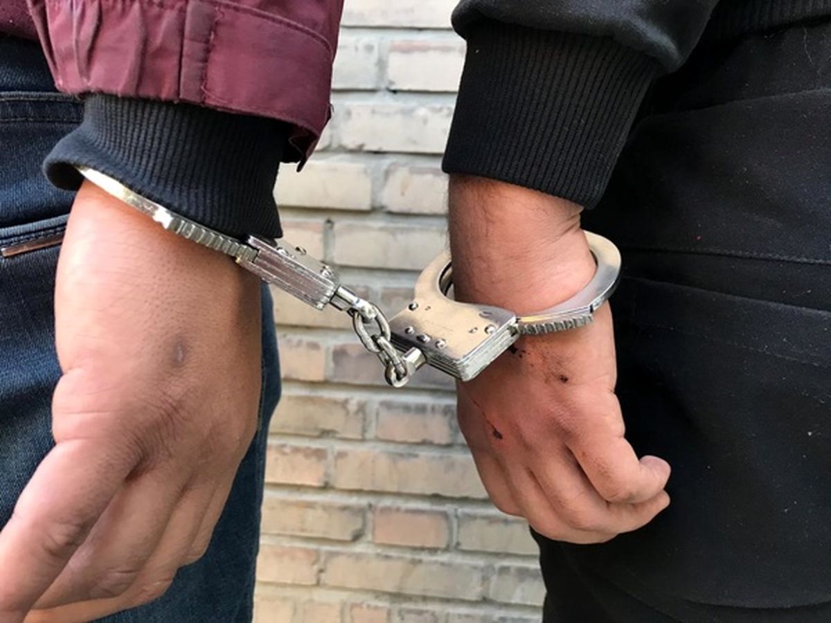دستگیری دو تن از اراذل و اوباش منطقه تهرانسر