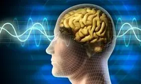 کشف یک قسمت جدید در مغز انسان