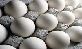 سیر صعودی تخم مرغ در بازار/ قیمت هر شانه تخم مرغ به 24 هزار تومان رسید