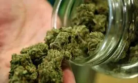 توزیع موادمخدر گل در جعبه پیتزا یوسف آباد+ عکس