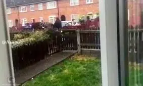 انگلیس و نمکی هایش