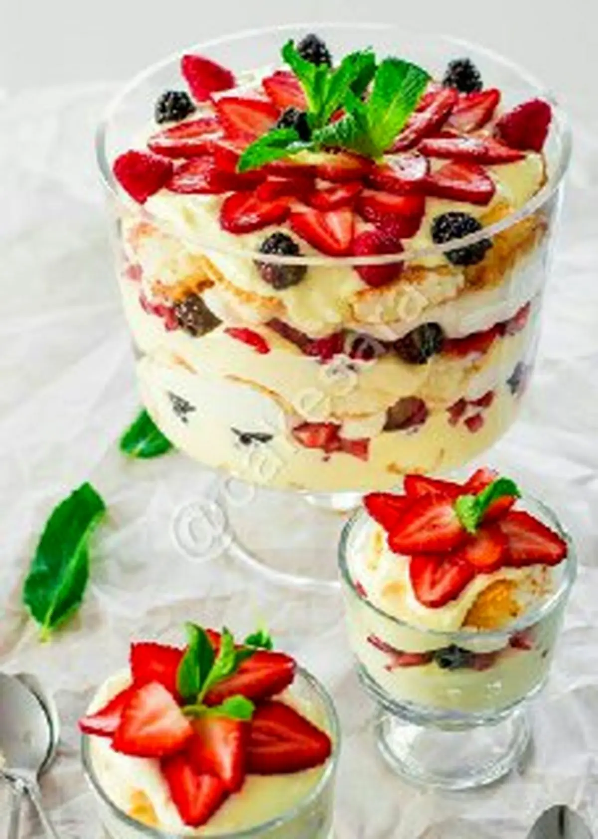 طرز تهیه دسر بی نظیر ترافیل