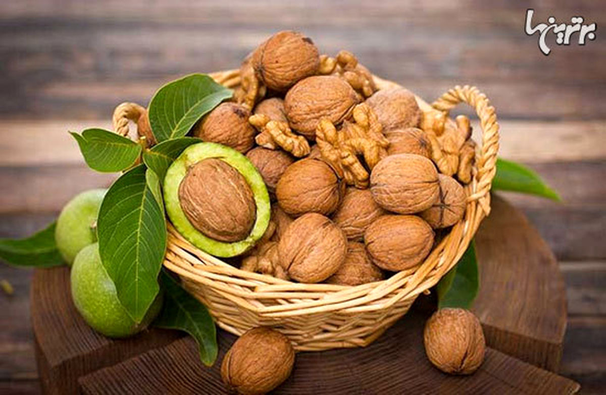 خواص گردو؛ استرستان را کنترل کنید