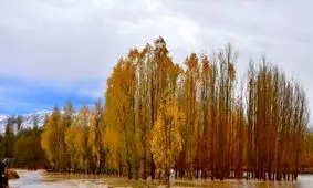 طبیعت پاییزی پایتخت طبیعت ایران +تصاویر