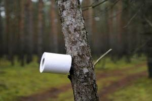 میدانید برای یک رول دستمال توالت چند درخت قطع می شود؟